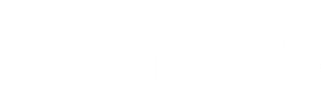 o novo mercado